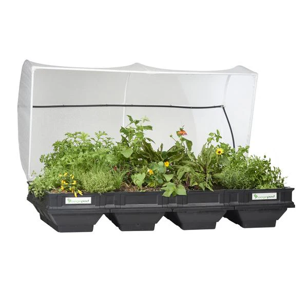 Vegepod Raised Garden Bed, Self-Watering Container with Protective Cover 5 Large 1 grande 59bc7373 024d 4bac 9c5c amzliving.com