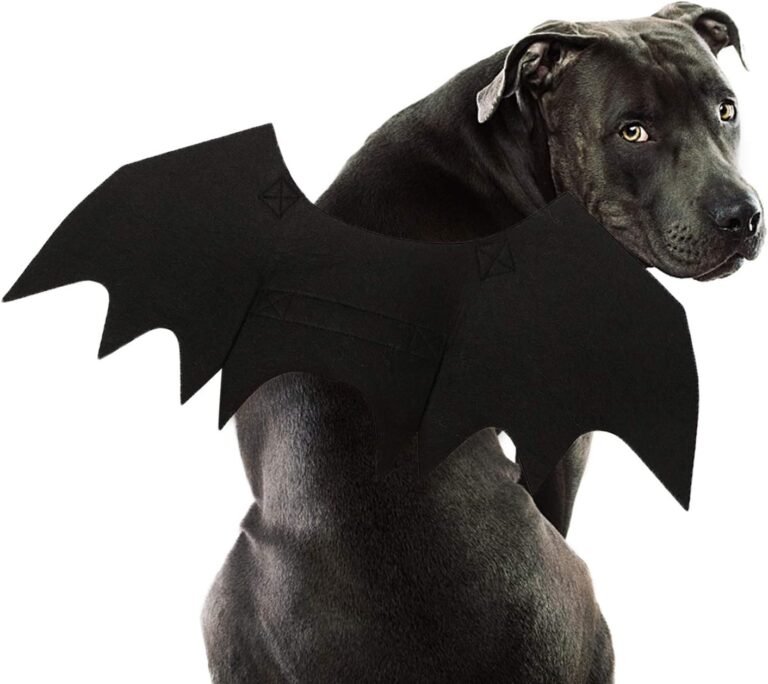 Dog Halloween Costume: Adorable Rypet Bat Wings Transform Your Pet into a Spooky Star 2 Dog Halloween Costume: Adorable Rypet Bat Wings Transform Your Pet into a Spooky Star