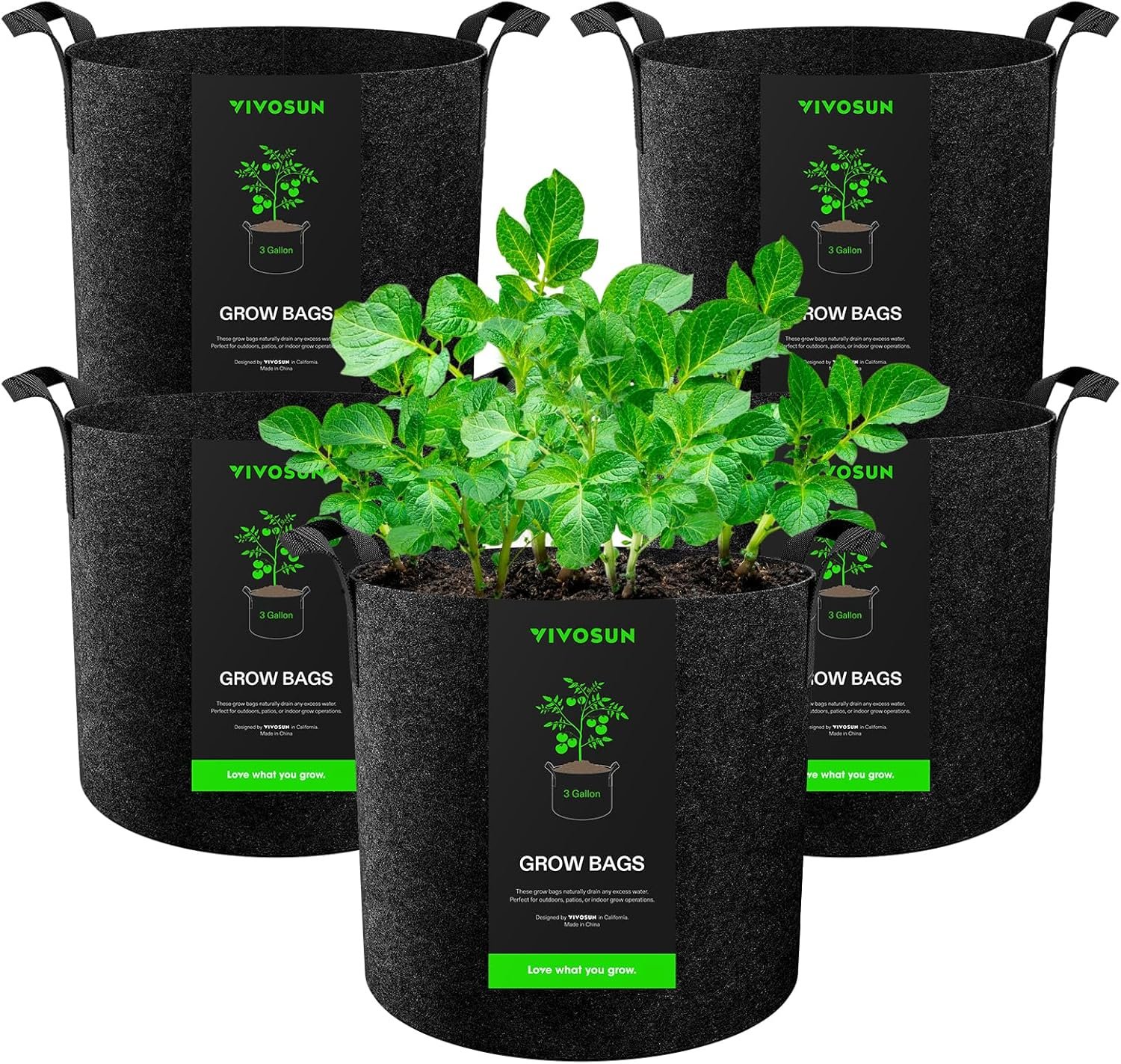 Fabric Grow Bags: Superior VIVOSUN 5 Gallon Heavy-Duty Pots Deliver Healthier Plants