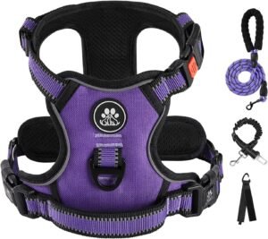 the IVY&LANE No-Pull Dog Harness Set Is a Game-Changer for Small Dogs